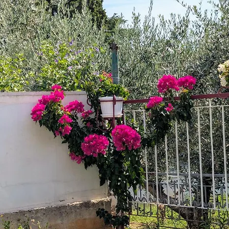 La Sassa דירה *